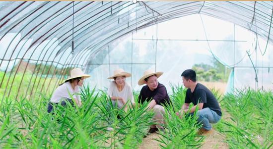 股票配资咨询交易 咸安区新农人吴浩林：用新兴技术书写别样青春
