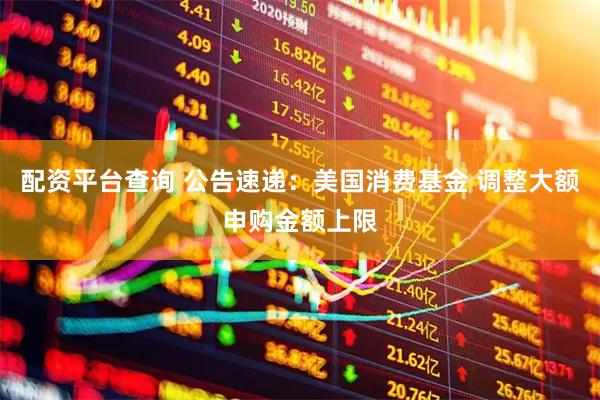 配资平台查询 公告速递：美国消费基金 调整大额申购金额上限